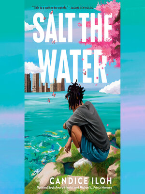cover image of Salt the Water